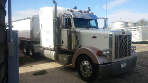 2006 Peterbilt 379